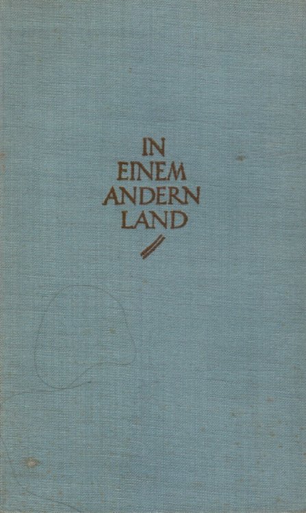 In Einem Andern Land: Roman (A Farewell to Arms)