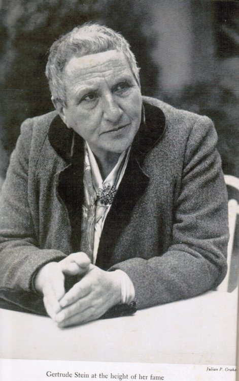 The Third Rose: Gertrude Stein and Her World