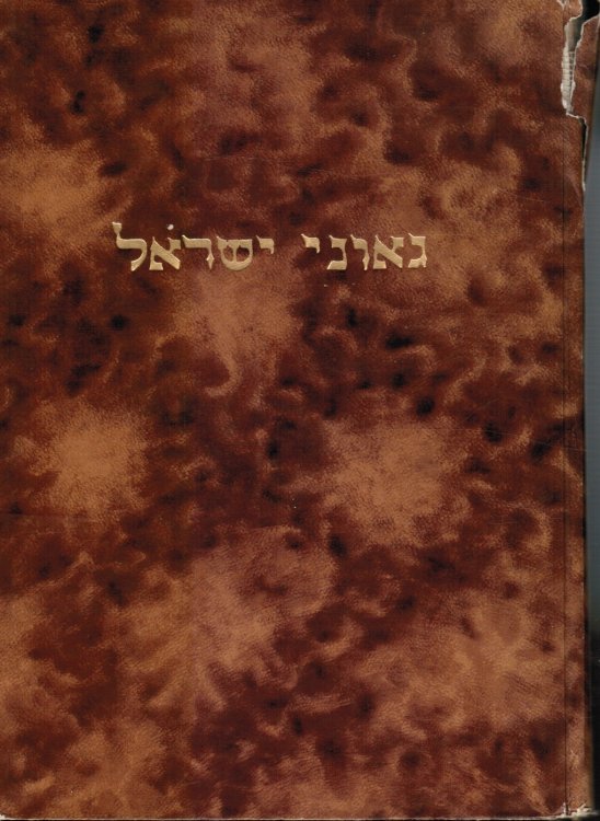 Ge'one Yisrael: Rishonim Va-Aharonim: Toldot Hayehem