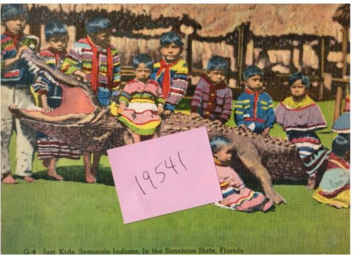 Seminole Indians with Alligator: Giant Post Card
