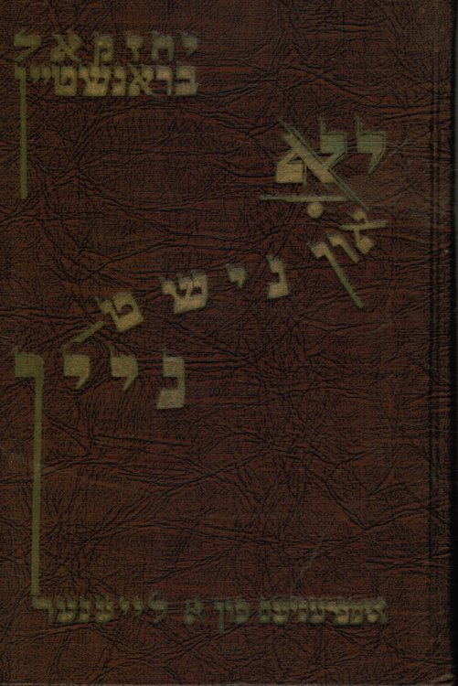 Yo Un Nisht-Neyn: Impresyes Fun a Leyener -- Yes, but Not-No: Impressions of a Reader, Essays