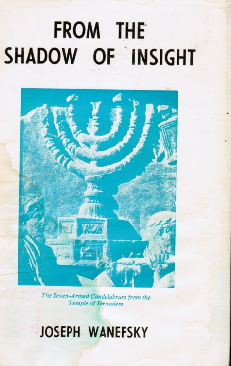 Image for From the shadow of insight From the shadow of insight