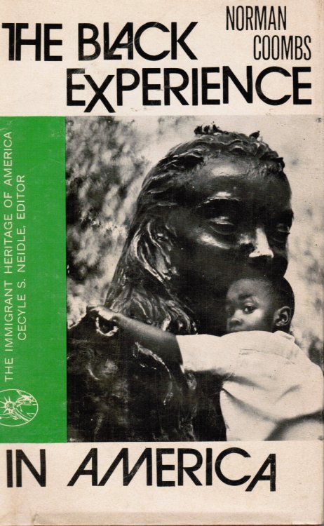 The Black Experience in America