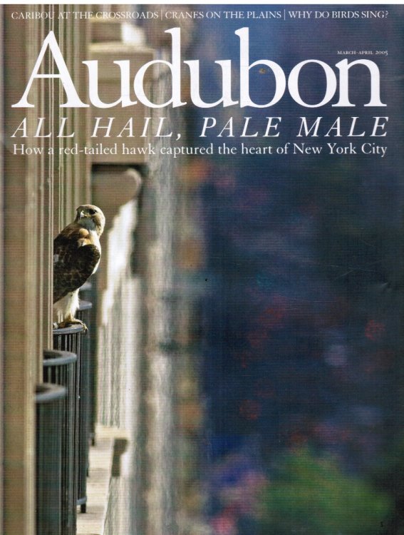Audubon March-April 2005, Volume 107, Number 2 How a Red-Tailed Hawk Captured the Heart of New York City