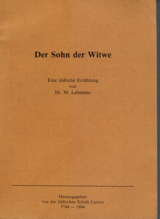 Der Sohn Der Witwe: Eine Judische Erzahlung