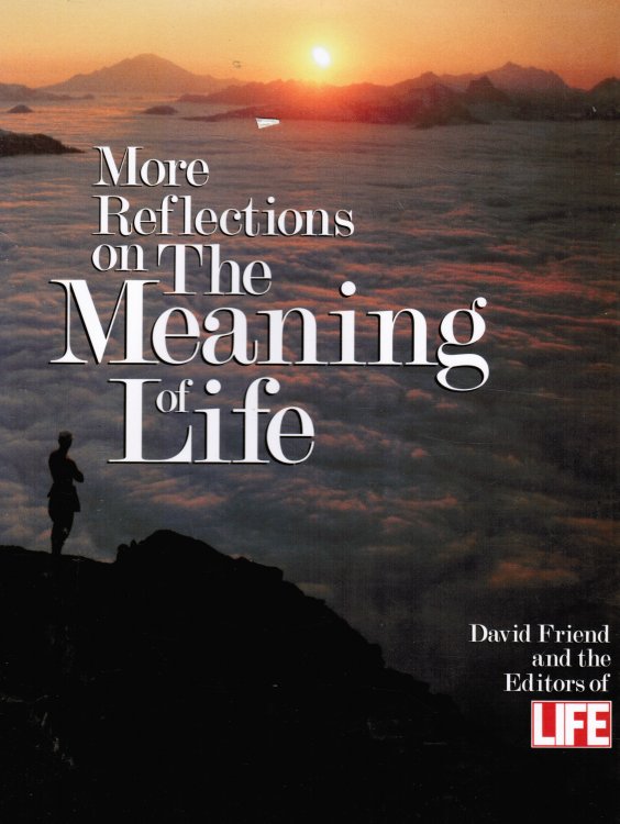 More Reflections on the Meaning of Life