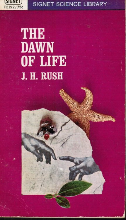 The Dawn of Life