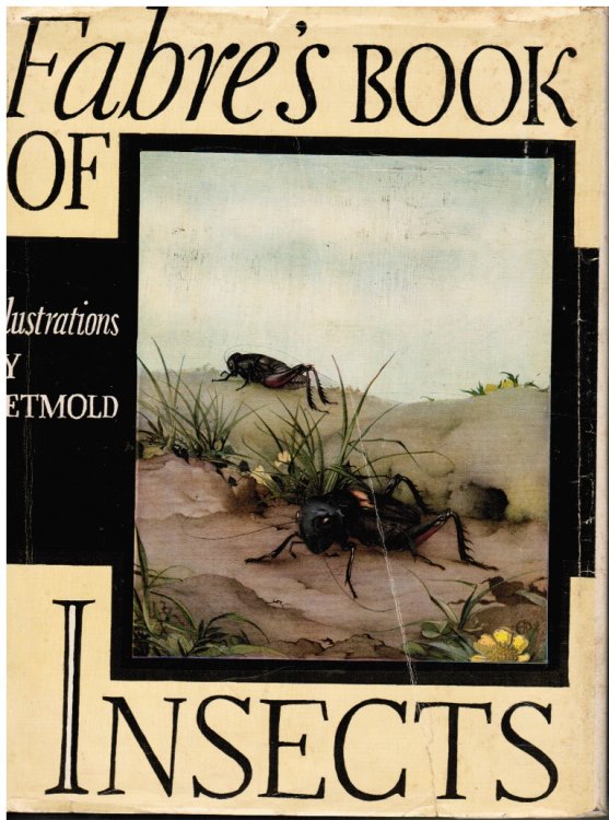 Fabre's Book of Insects: Retold from Alexander Teixeira De Mattos' Translation of Fabre's 