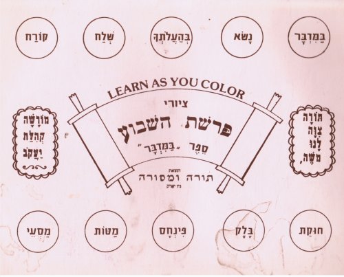 Tsiyure Parashat Ha-Shavua - Sefer Bamidbar