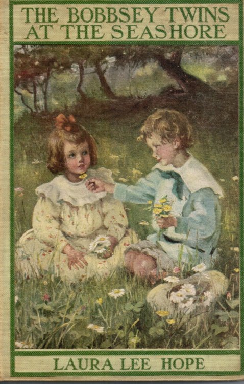 The Bobbsey Twins At the Seashore