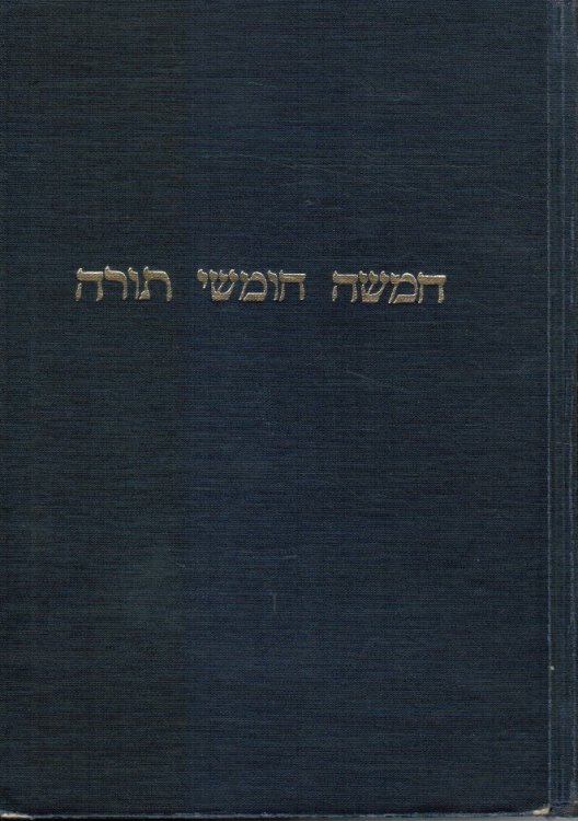 Pentateuch & Haftorahs: Hebrew Text English Translation & Commentary