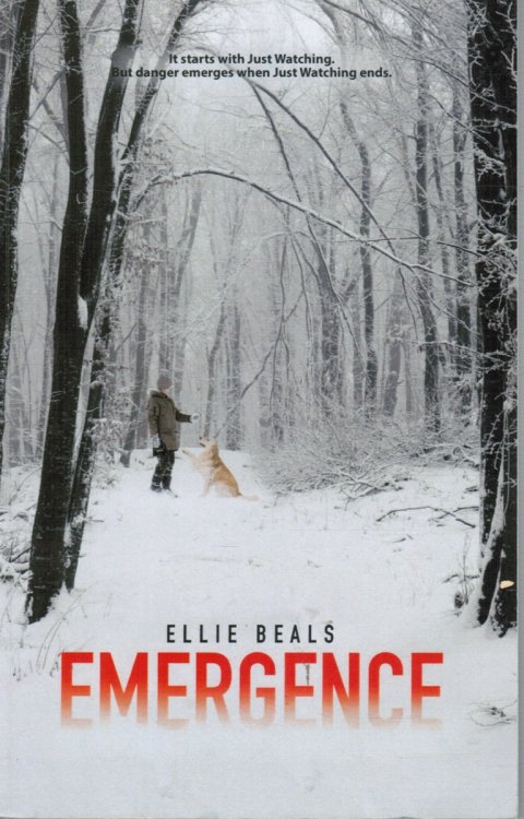 Emergence