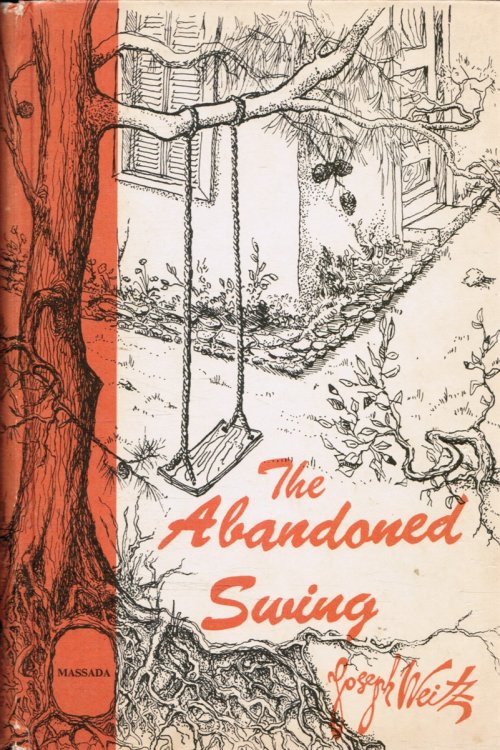 The Abandoned Swing