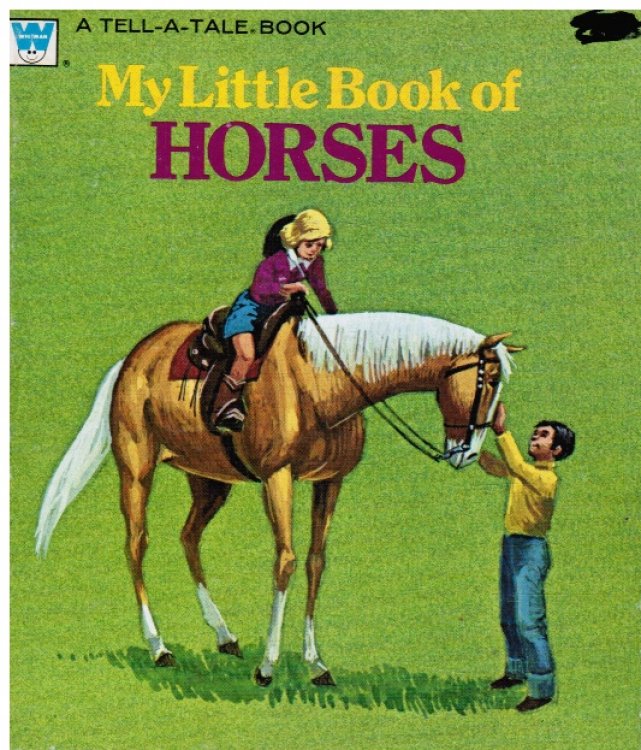 My Little Book of Horses