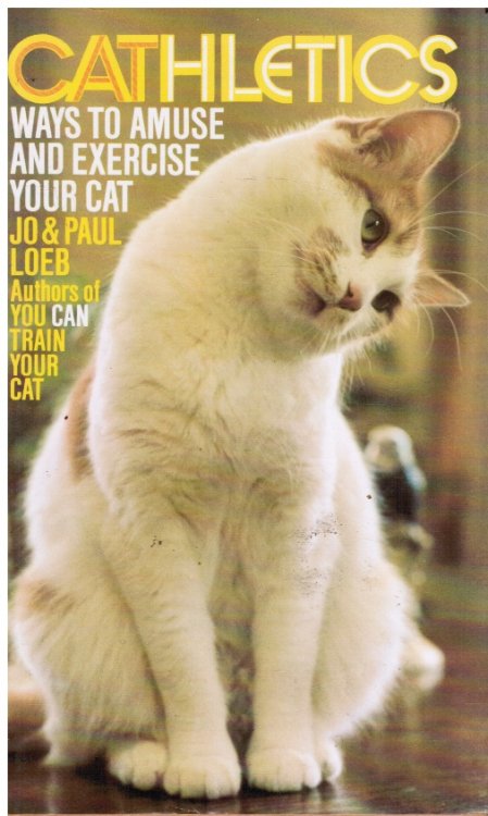 Cathletics: Ways to Amuse and Exercise Your Cat