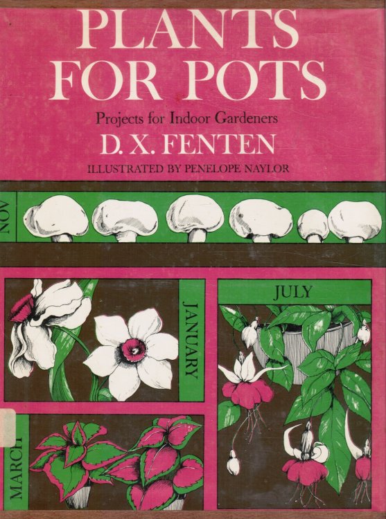 Plants for Pots, Project for Indoor Gardeners