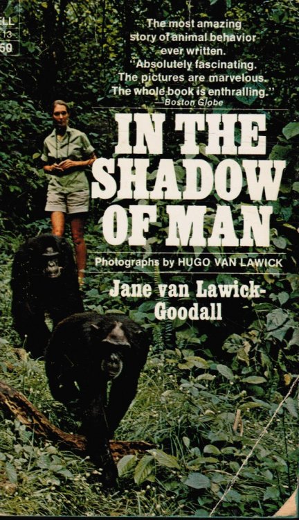 In the Shadow of Man