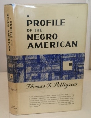 A Profile of the Negro American