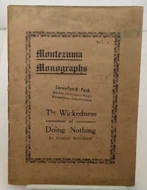 The Wickedness Of Doing Nothing An Appeal for Positive Living