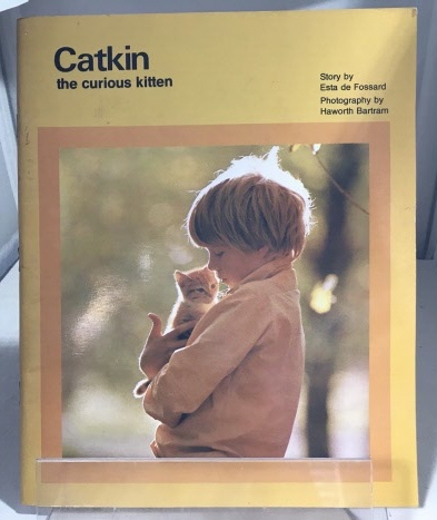 Catkin The Curious Kitten