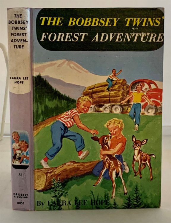The Bobbsey Twins' Forest Adventure