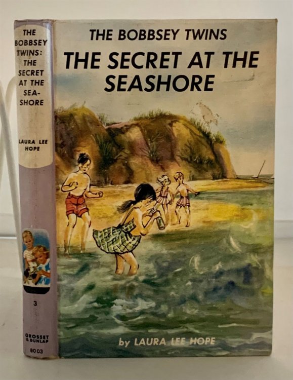 The Bobbsey Twins: the Secret At the Seashore