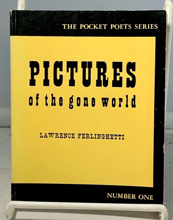 Pictures of the Gone World