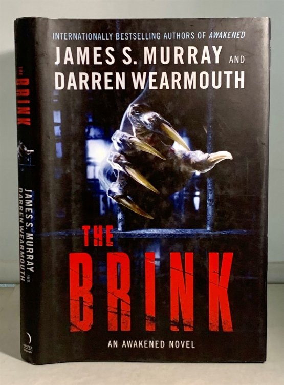 The Brink An Awakened Novel