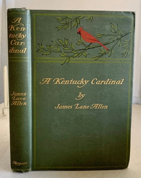 A Kentucky Cardinal