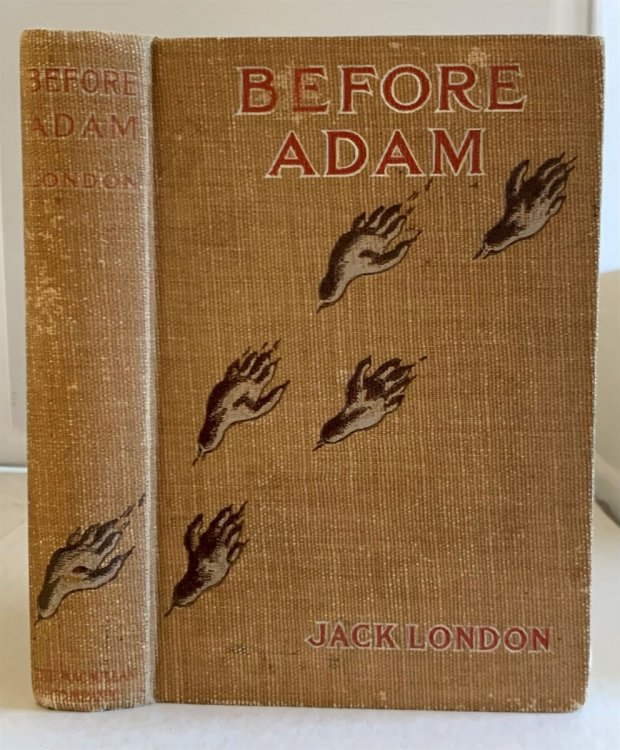 Before Adam
