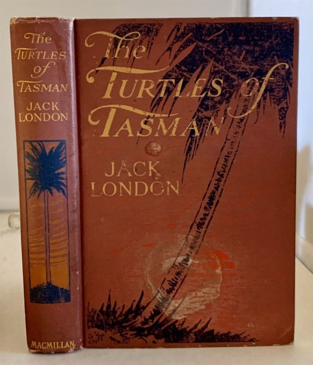 The Turtles Of Tasman