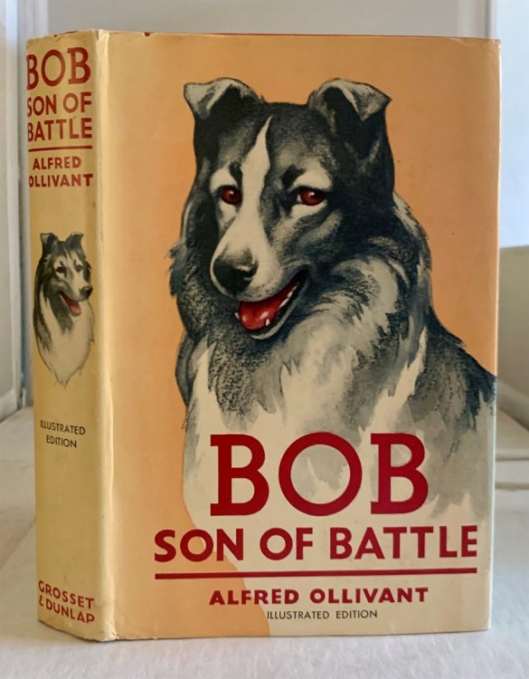 Bob Son of Battle (Illustrated Edition)