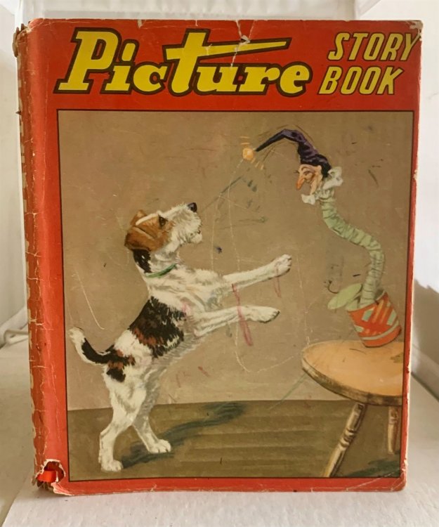 Picture Story Book