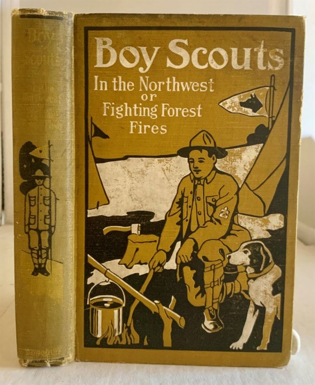 Boy Scouts In The Northwest Or Fighting Forest Fires