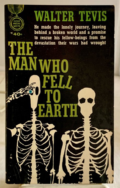 The Man Who Fell to Earth