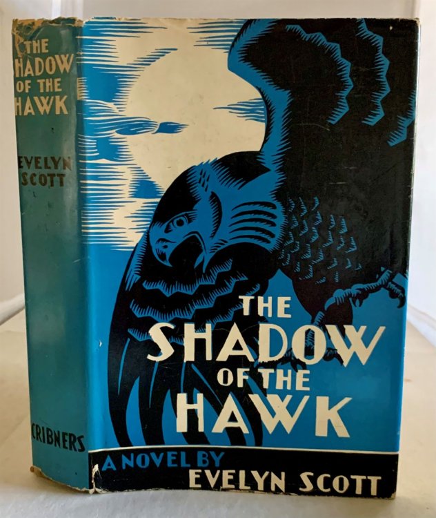 The Shadow of the Hawk