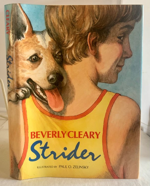Strider