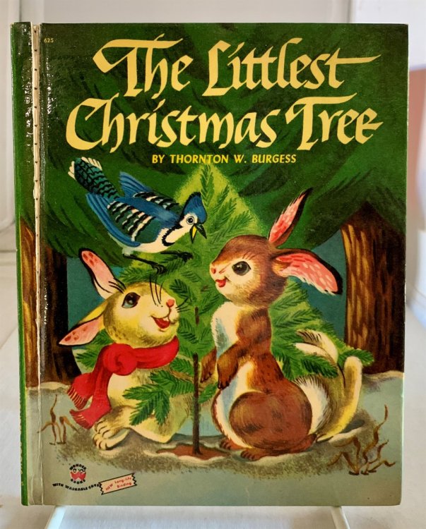 The Littlest Christmas Tree