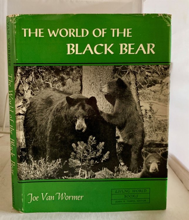 The World Of The Black Bear