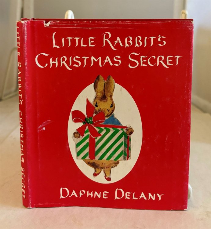 Little Rabbit's Christmas Secret