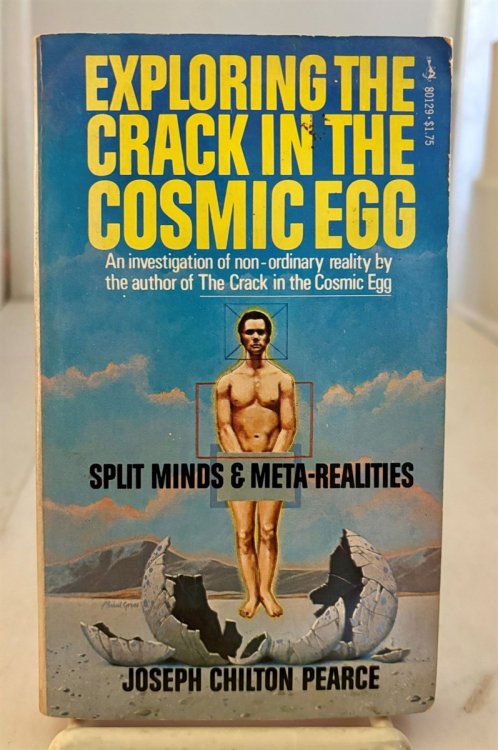 Exploring the Crack in the Cosmic Egg