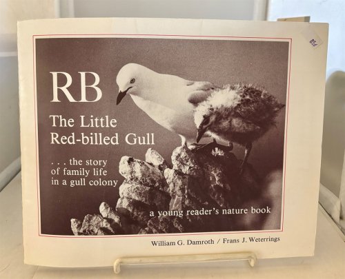 RB: the Little Red-Billed Gull . .the Story of Family Life in a Gull Colony
