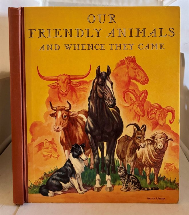 Our Friendly Animals And Whence They Came