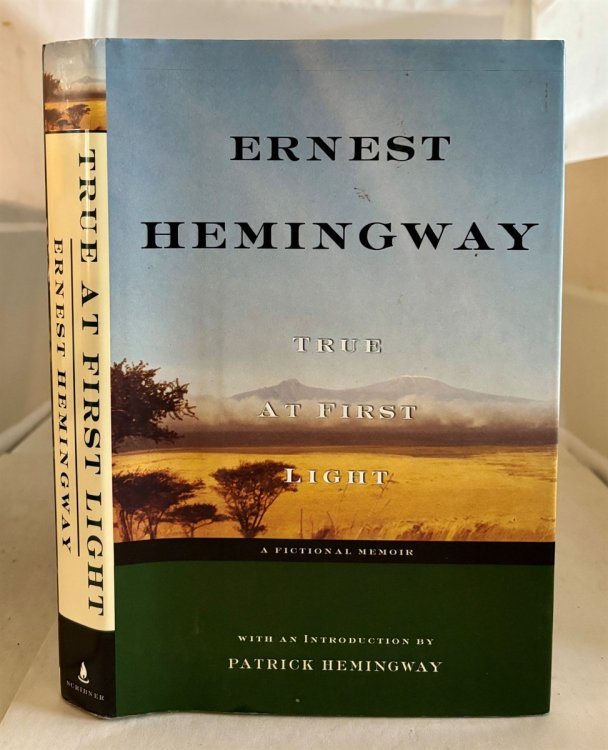 True at First Light A Fictional Memoir