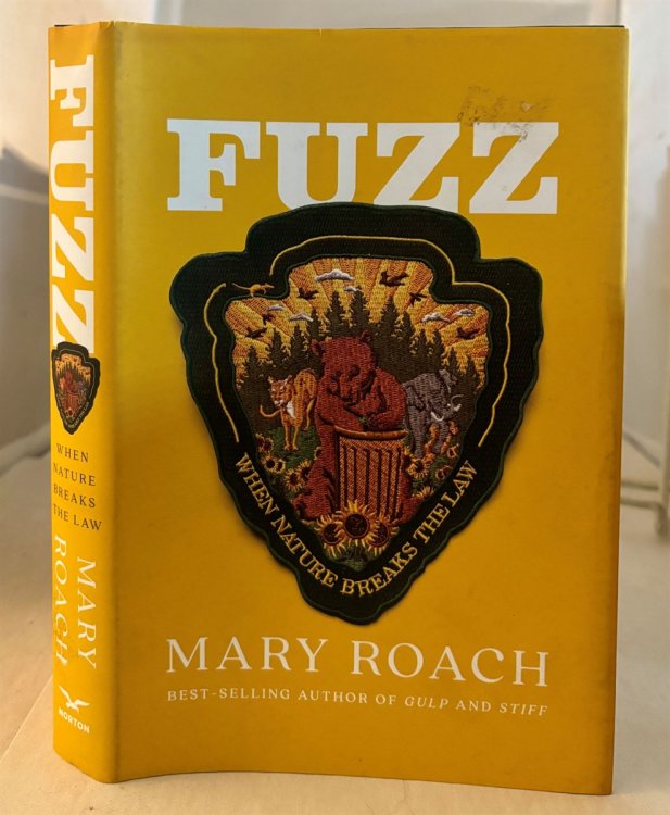 Fuzz When Nature Breaks the Law