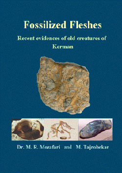 Fossilized Fleshes - Recent evidences of old creatures of Kerman