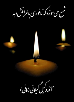 The Candle Burns (Poems)