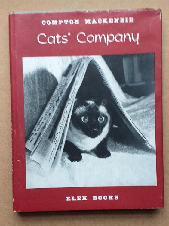 Cat's company.