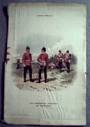 Hampshire Regiment 37th & 67th Foot. Military Types #73 .