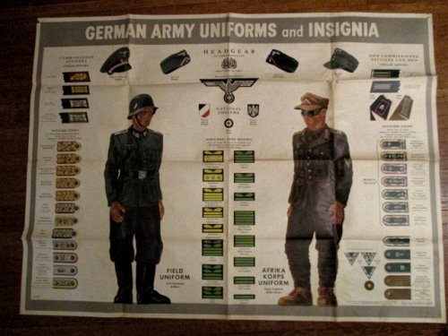 Newsmap. 2/15/1943. German Army & Afrika Korps Uniforms & Insignia. Army Orientation Course.